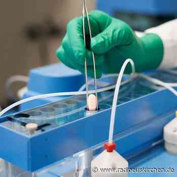 EMA gibt grünes Licht für Corona-Pille von Pfizer - radioeuskirchen.de