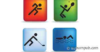 Local Roundup: Southern Cayuga girls basketball beats North Rose-Wolcott - The Citizen