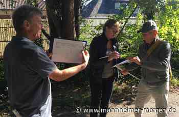 Verein berechnet Anzahl und Kohlendioxidmenge der Bäume am Rheindamm - Mannheim: Lindenhof - Nachrichten und Informationen - Mannheimer Morgen