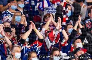 Neuer Corona-Verordnung irritiert die Adler Mannheim - Sport - Mannheimer Morgen