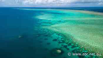 $1b plan to save Great Barrier Reef will fail without action on climate change, scientist says