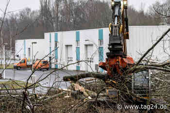 Chemnitz: Kahlschlag am Klärwerk - Hunderte Bäume werden hier gefällt - TAG24