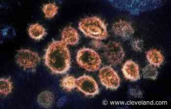 Ohio reports 12,108 more COVID-19 cases: daily coronavirus update for Thursday, Jan. 27 - cleveland.com