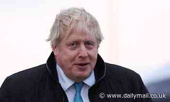 Minister hints Boris could cave to Tory rebels on NI rise