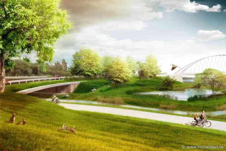 Ook egels, reeën en salamanders maken straks gebruik van Hoogmolenbrug: “Ecostrook uniek voor Albertkanaal”