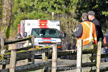 VIDEO: Heavy-duty cutters free injured rider in Langley's Campbell Valley Regional Park – Langley Advance Times - Langley Advance Times