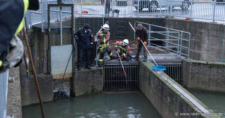 Wasserschutzpolizei rettet Biber in Not