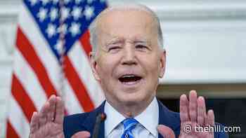 Left says they're not to blame for Biden's problems