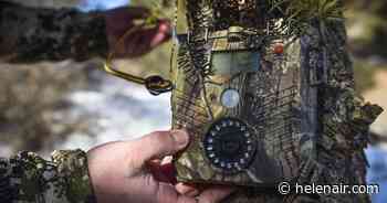 Trail cameras spark debate across hunting world | 406 Politics | helenair.com - Helena Independent Record