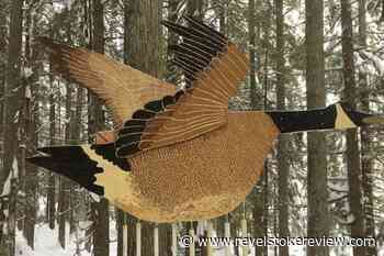 Revelstoke Nordic Ski Club introduces trail with interactive woodland creatures – Revelstoke Review - Revelstoke Review