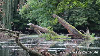 Erste Priorität hat der Landgrafenteich | Nidda - Kreis-Anzeiger