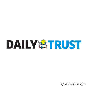 'Road transport critical to economic development' - Daily Trust