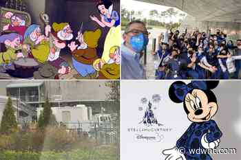 Star Wars: Galactic Starcruiser Guests to Ride in 'Shuttle Transport'-Themed Box Trucks, Minnie Mouse to Don Pantsuit for Women's History Month in Paris, and More: Daily Recap (1/26/22) - wdwnt.com