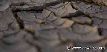 Canadian farmers face cattle feed shortage due to drought, transport strains - AG Week