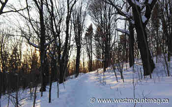 Take a walk to Westmount's wild side - westmountmag.ca