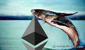 Ethereum Whales Quietly Filled Up On ETH While Broader Market Panicked - NewsBTC