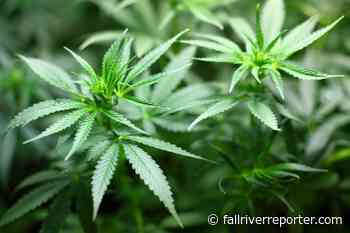 Massachusetts committee advancing marijuana cafe, host agreement Bill - Fall River Reporter