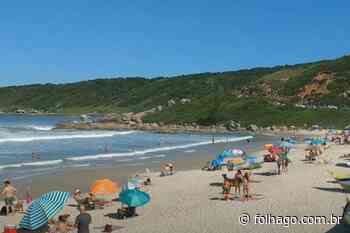 Praia do Rosa, Imbituba: uma das melhores praias de Santa Catarina - FolhaGO