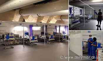 Inside one of the NHS's Nightingale hubs: Pictures of makeshift ward created in a CAR PARK
