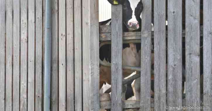 Weitere Anklage im Allgäuer Tierschutz-Skandal erhoben
