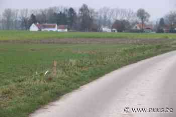 Kleine landschapselementen ( hagen) aangeplant in Brakel – NUUS - NUUS
