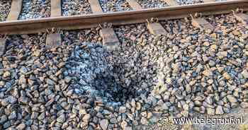Bever graaft holen bij spoor en daar is ProRail niet blij mee: 'De trein kan ontsporen' - Telegraaf.nl