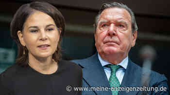 Ukraine-Konflikt: Schröder verurteilt Baerbocks „Provokation“ - Grünen-Politiker geht Ex-Kanzler hart an