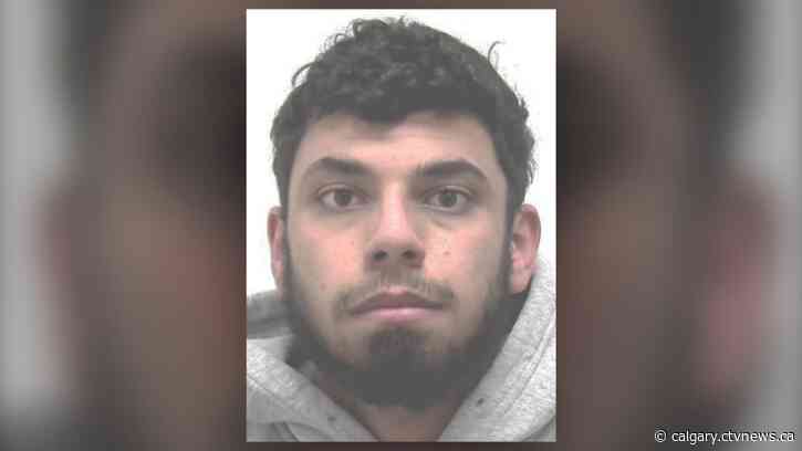 Calgary man to be sentenced for manslaughter in traffic stop death of Sgt. Andrew Harnett