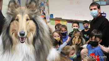 High school teacher, therapy dog travel to bring comfort to all ages