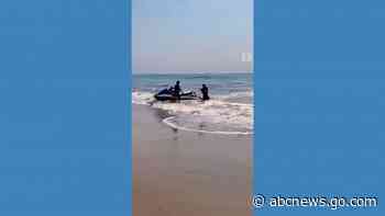 WATCH:  Lifeguards use jet ski to save dog