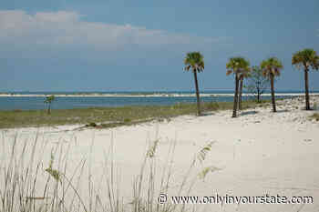 Visit The Southernmost Point Of Alabama For An Unforgettable Experience - Only In Your State