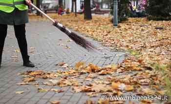 Samarate fa lavorare chi ha il reddito di cittadinanza. Al via i primi 7 progetti - malpensa24.it