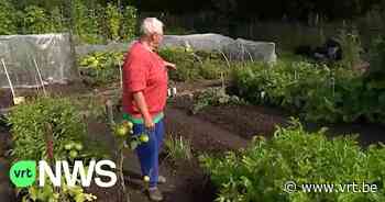 Lichtervelde breidt voorzorgsmaatregelen uit na PFAS-vervuiling - VRT NWS