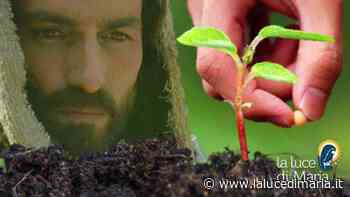 Vangelo del giorno: Marco 4,26-34 – Audio e commento Papa Francesco - La Luce di Maria