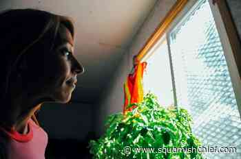 Heat dome made British Columbians more anxious. Could prescribing nature help? - Squamish Chief