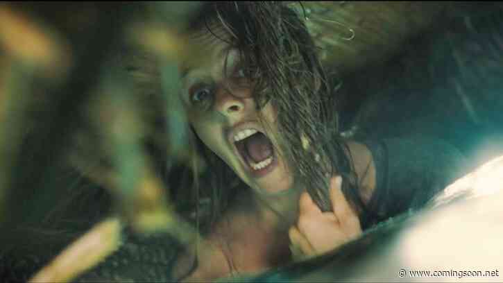 The Requin Interview: Alicia Silverstone Discusses Filming Shark Thriller