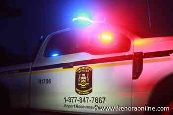 Ministry searching for moose poachers - KenoraOnline.com