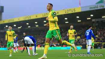 Chris Sutton pinpoints Adam Idah as big factor behind Norwich City's form - Pundit Arena