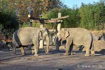Pionierarbeit für das Klima