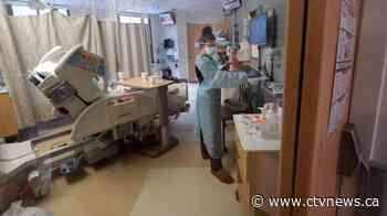 Omicron drives U.S. deaths higher than in fall's Delta wave - CTV News