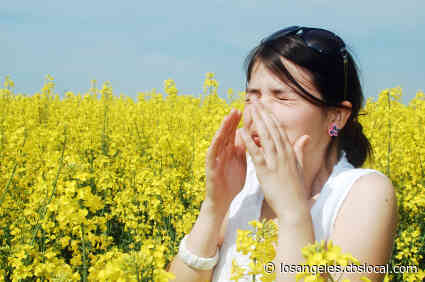 Is It Allergies Or COVID? Similar Symptoms Lead To Confusion
