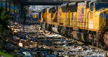 LAPD Reveals Horrifying Thing Being Stolen from Los Angeles Trains