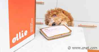 Best dog food delivery for 2022     - CNET