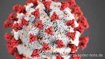 Corona im Kreis Calw - Neuinfektionen nähern sich 500er-Marke - Schwarzwälder Bote