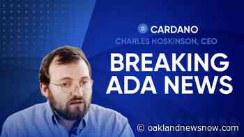 Cardano Price Prediction 2022! Will ADA Reach 1000$!? Sundaeswap, NFT, Crypto. Today News - LIVE | Crypto News - Oakland News Now