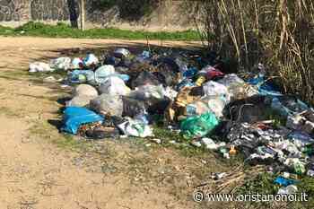Cumuli di rifiuti e pane buttato tra l'erba: segni di inciviltà a Oristano - Oristano Noi