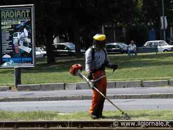 Roma, non c'è il commissario e slitta lo sfalcio dell'erba - il Giornale