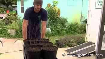 Farmers Ready to Weather the Cold Weather Storm