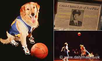Air Bud background gag features a piece of 'hateful' Islamaphobia that went unnoticed for 25 years
