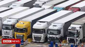 Dover queues: The firms struggling with Brexit red tape